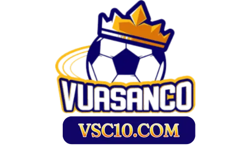 vsc10.com