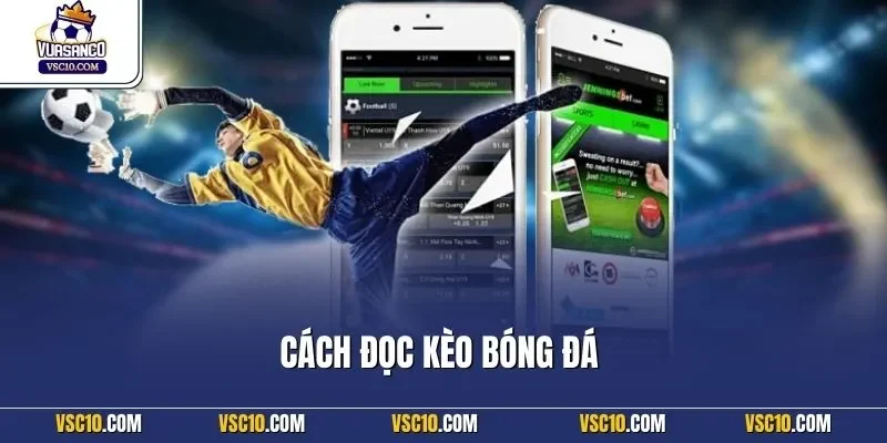 Cách đọc kèo bóng đá