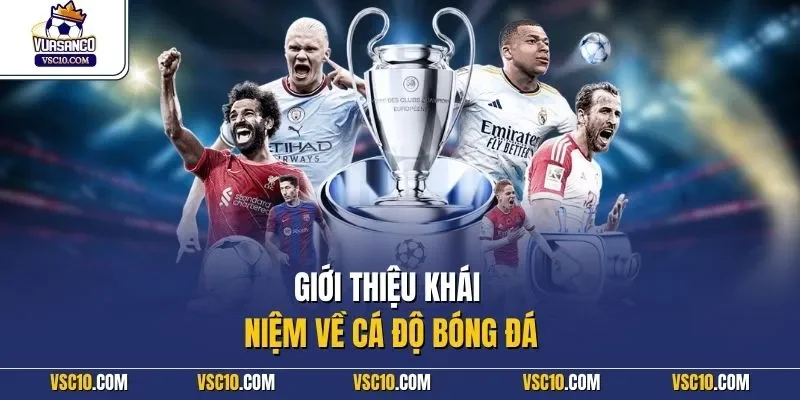 Giới thiệu khái niệm về cá độ bóng đá