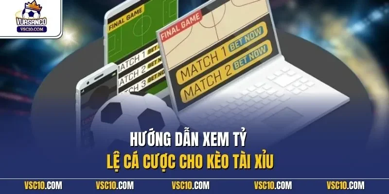 Hướng dẫn xem tỷ lệ cá cược cho kèo tài xỉu