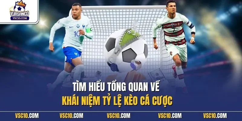  Tìm hiểu tổng quan về khái niệm tỷ lệ kèo cá cược